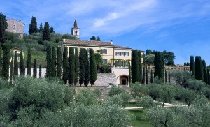 BILANCIO 2010 GRUPPO ITALIANO VINI: FATTURATO A 328 MILIONI DI EURO